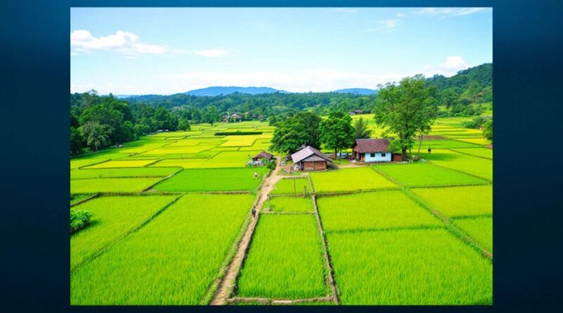 Lanskap desa Kembang dengan sawah hijau dan rumah tradisional.